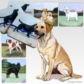 Labrador Retriever Scenic Coaster Set