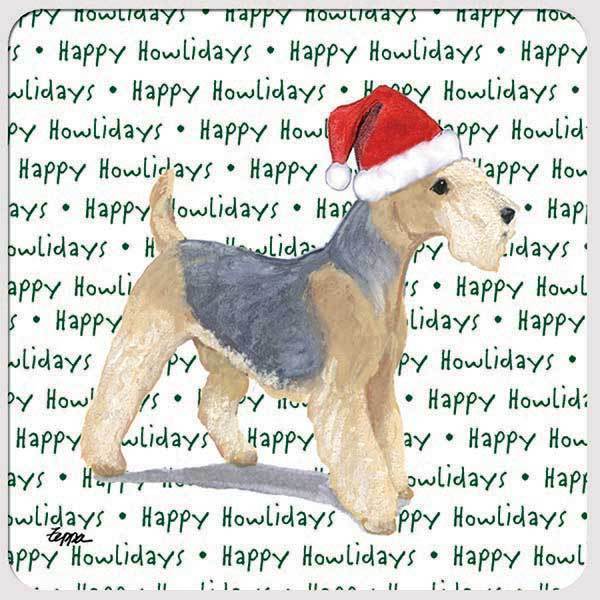 Lakeland Terrier 