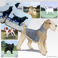 Lakeland Terrier Scenic Square Coaster