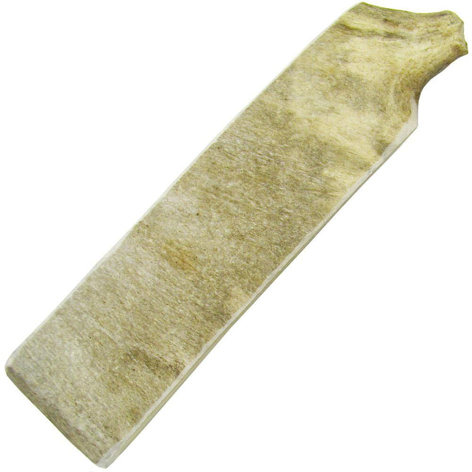 Happy Dog of Cape Cod Moose Antlers