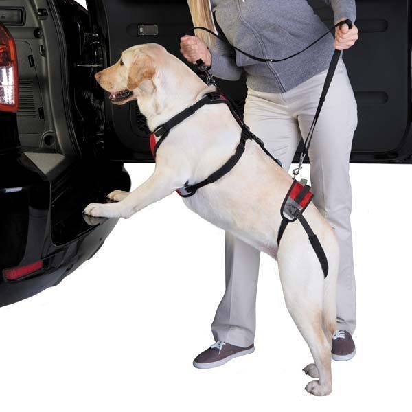Lift and Go Dog Lead Harness