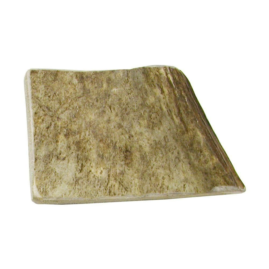 Happy Dog of Cape Cod Moose Antlers