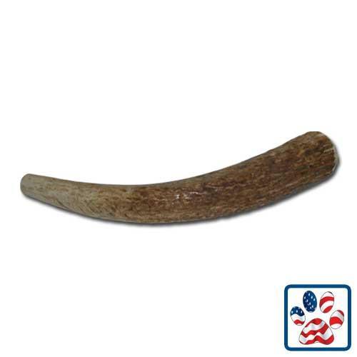 Petsmart shop elk antler