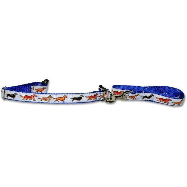 Dachshund collars and leashes store