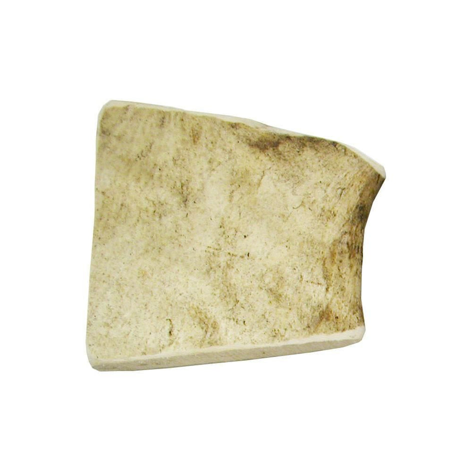 Happy Dog of Cape Cod Moose Antlers