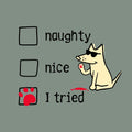 Naughty Nice I Tried - Classic Long-Sleeve T-Shirt