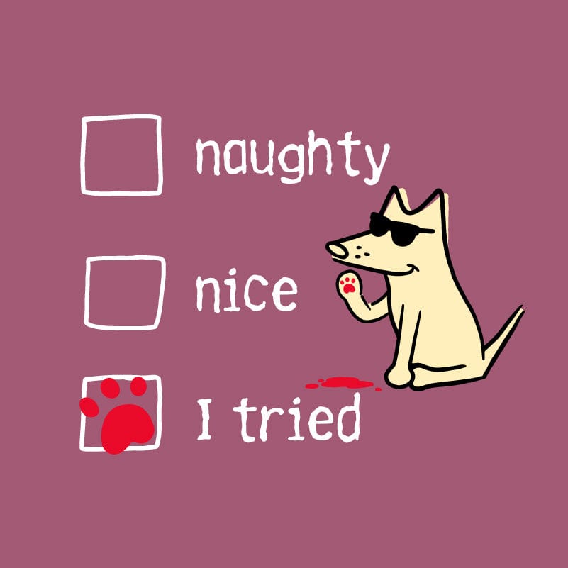 Naughty Nice I Tried - Classic Tee