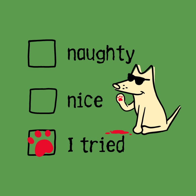 Naughty Nice I Tried - Lightweight Tee