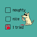 Naughty Nice I Tried - Ladies T-Shirt V-Neck