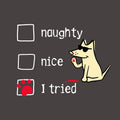 Naughty Nice I Tried - Ladies Curvy V-Neck Tee