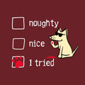 Naughty Nice I Tried - Youth Short Sleeve T-Shirt