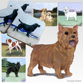 Norwich Terrier Scenic Square Coaster