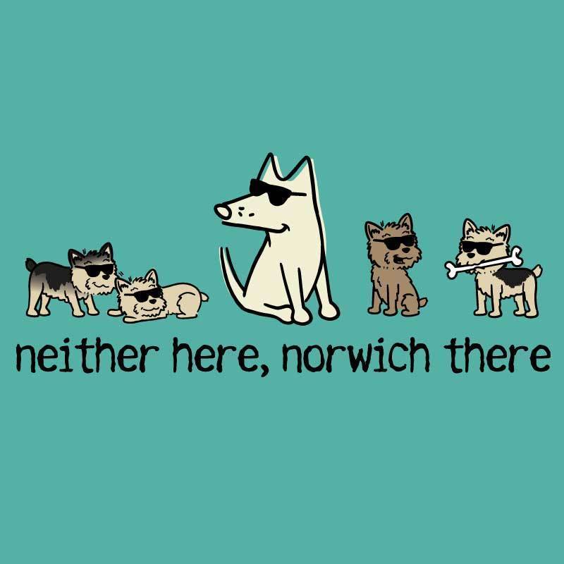 Neither Here, Norwich There - Ladies T-Shirt V-Neck