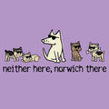 Neither Here, Norwich There - Ladies T-Shirt V-Neck