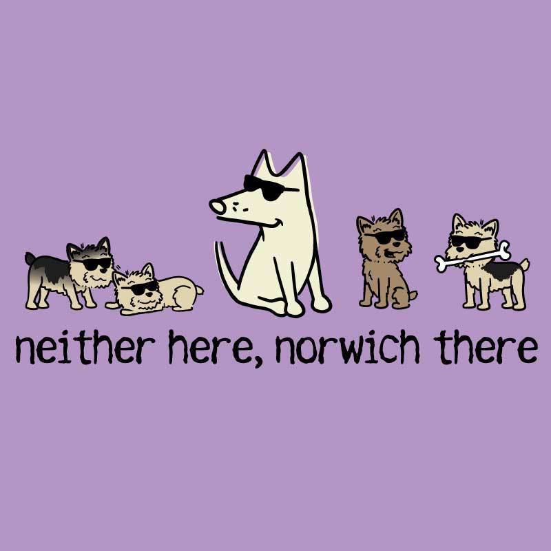 Neither Here, Norwich There - Ladies T-Shirt V-Neck