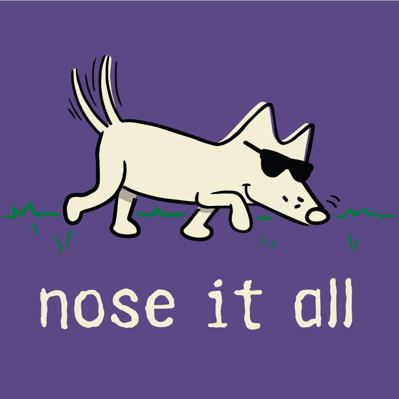 Nose It All - Ladies T-Shirt V-Neck