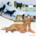 Nova Scotia Duck Tolling Retriever Scenic Square Coaster