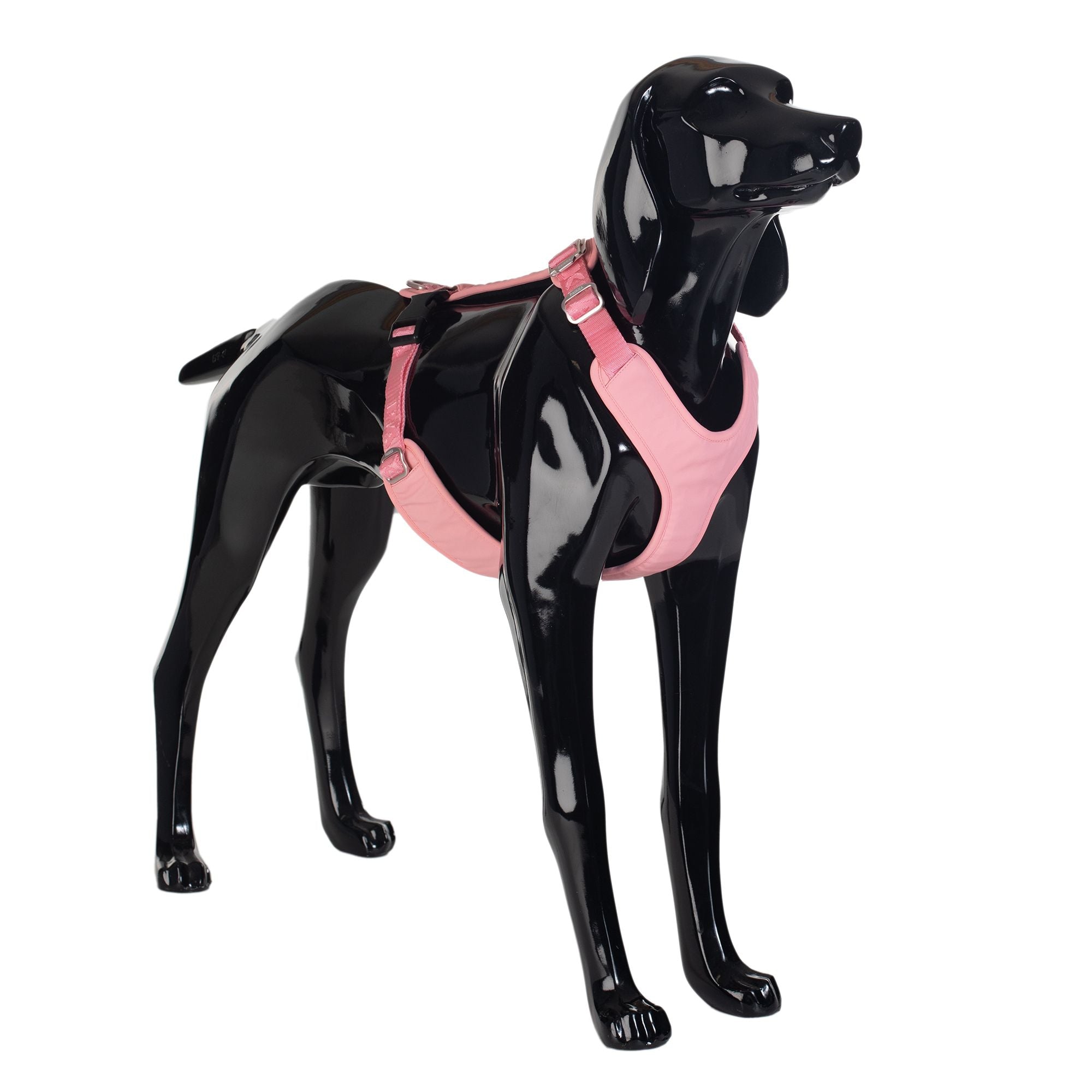 Akc shop dog harness