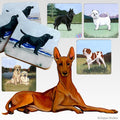 Pharaoh Hound Scenic Square Coaster