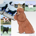 Poodle Scenic Square Coaster