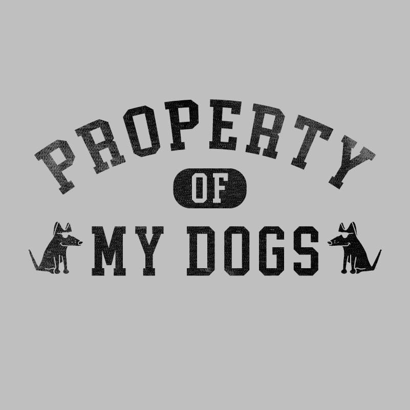 Property of my Dog(s) - Ladies T-Shirt V-Neck