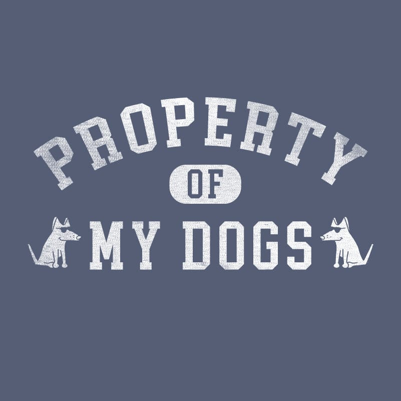 Property of my Dog(s) - Ladies Curvy V-Neck Tee