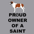 Saint Bernard Proud Owner - Women's V-Neck T-Shirt