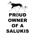 Saluki Proud Owner - Women's V-Neck T-Shirt