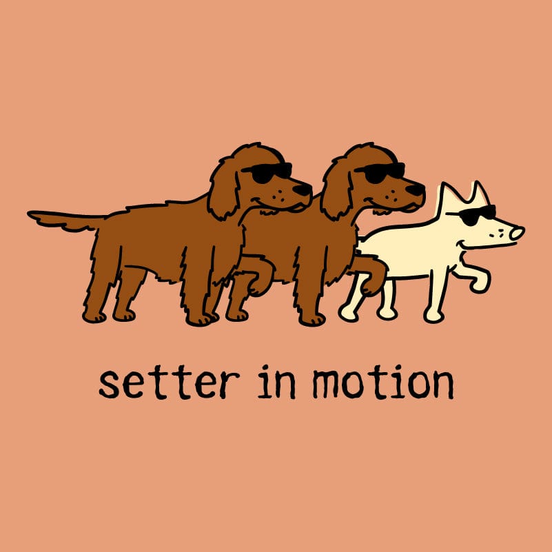 Setter in Motion - Ladies T-Shirt V-Neck