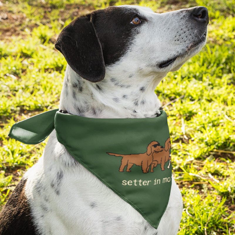 Setter in Motion - Doggie Bandana