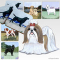 Shih Tzu Scenic Square Coaster