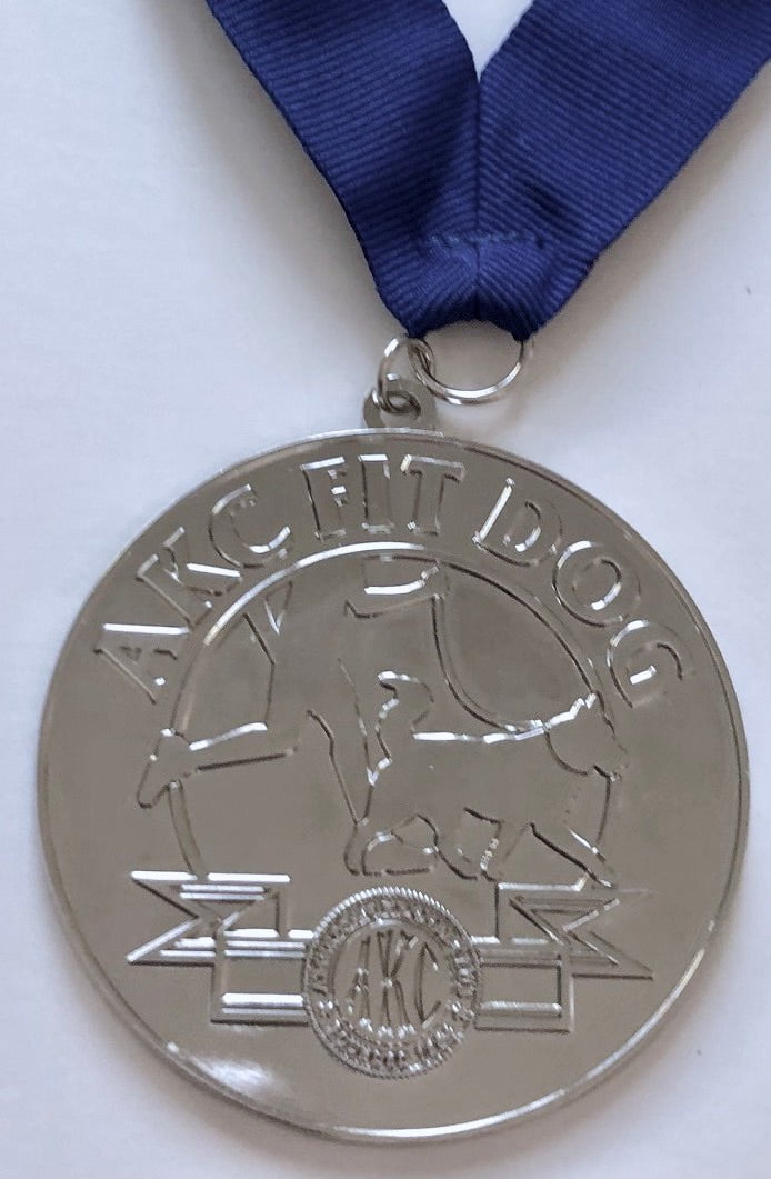 2-3/4" Fit Dog Medallion - Silver