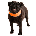 Hi-Vis Cooling Collar