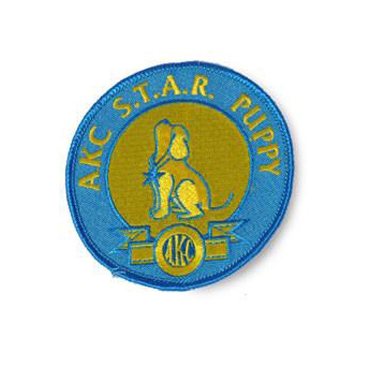 Akc star 2024 puppy program