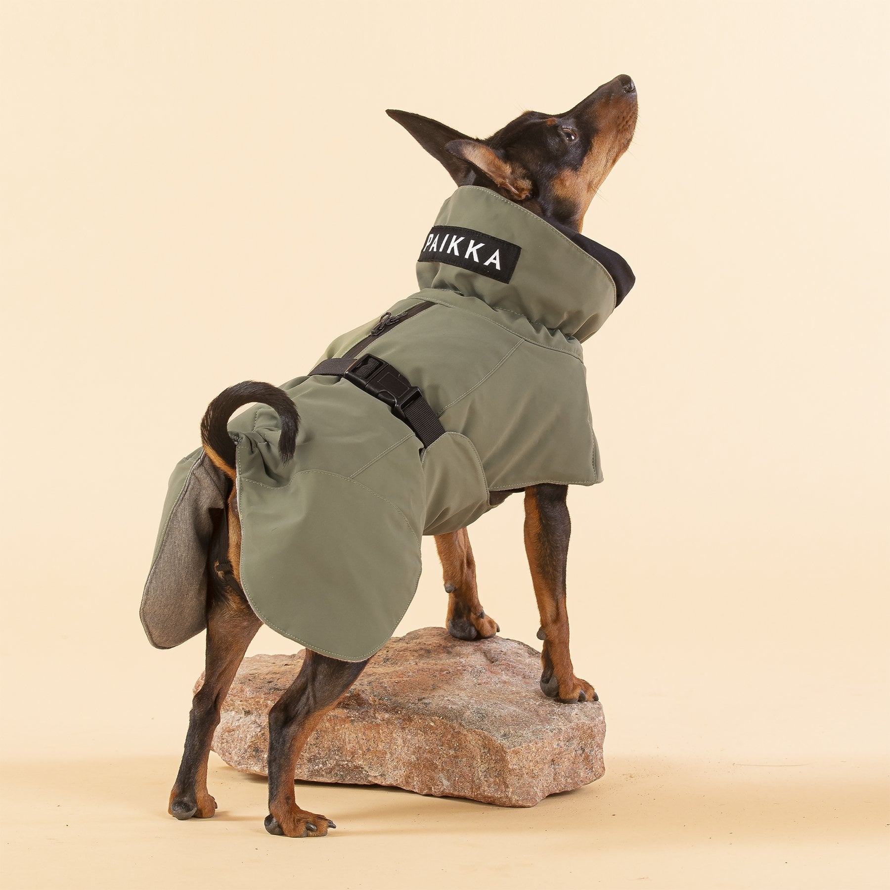 New Zealand Made - Waterproof Dog Jacket