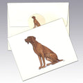 Vizsla Note Cards