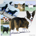 Cardigan Welsh Corgi Scenic Square Coaster