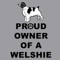 Welsh Springer Spaniel Proud Owner - Women's V-Neck T-Shirt