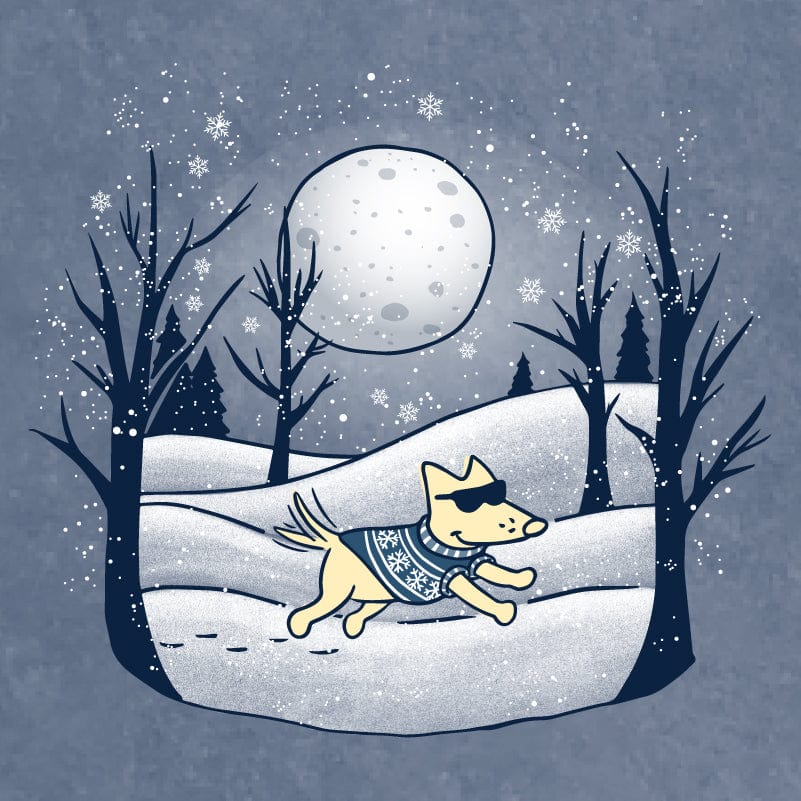 Winter Moon - Salt Wash Hoodie