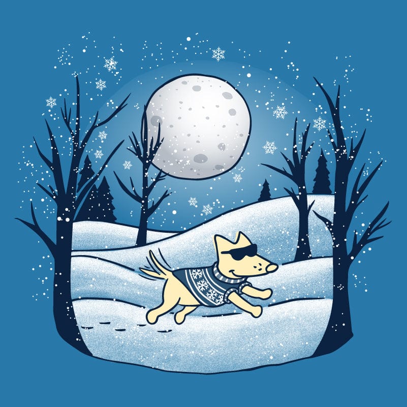 Winter Moon - Ladies T-Shirt V-Neck