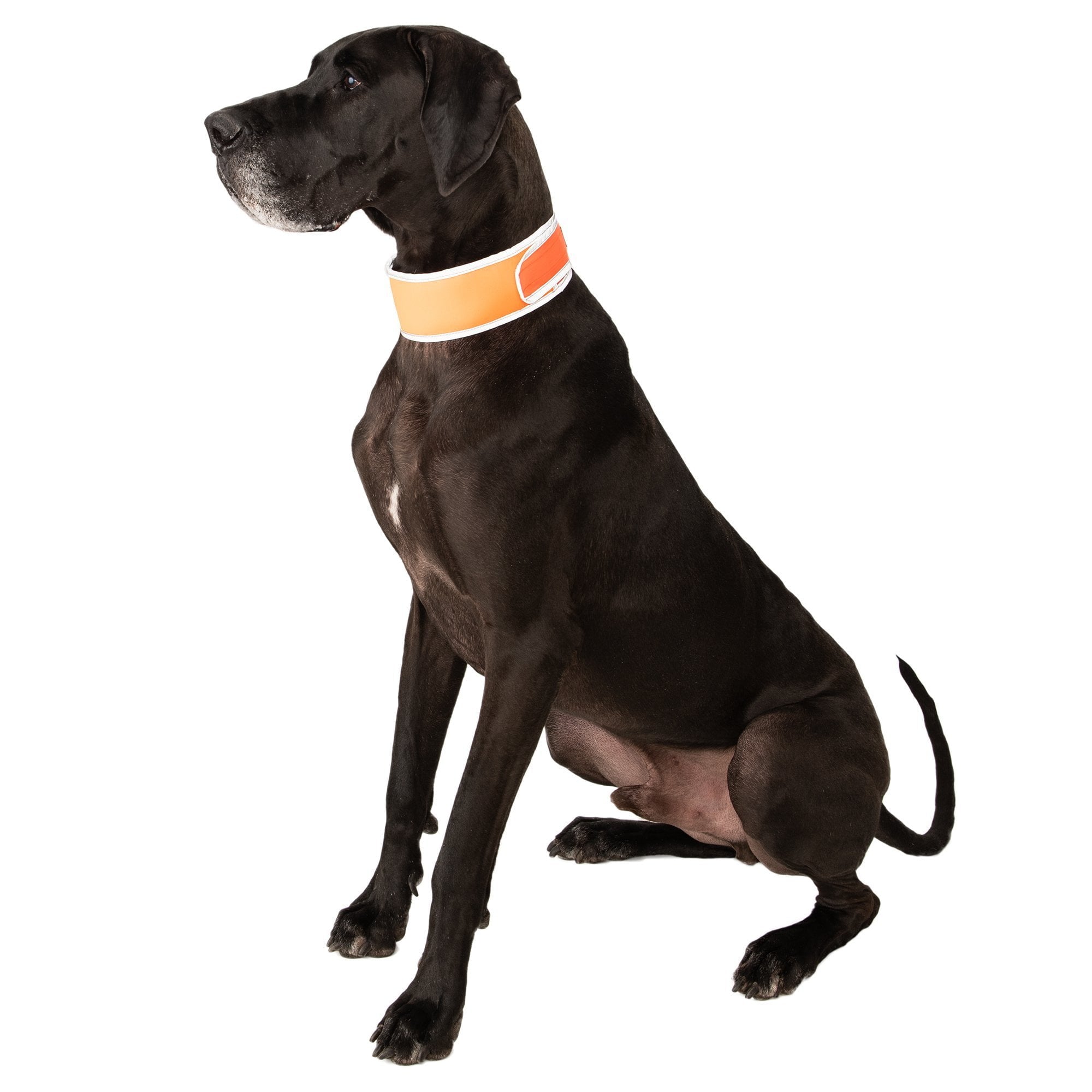 Hi Vis Cooling Collar