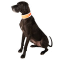 Hi-Vis Cooling Collar