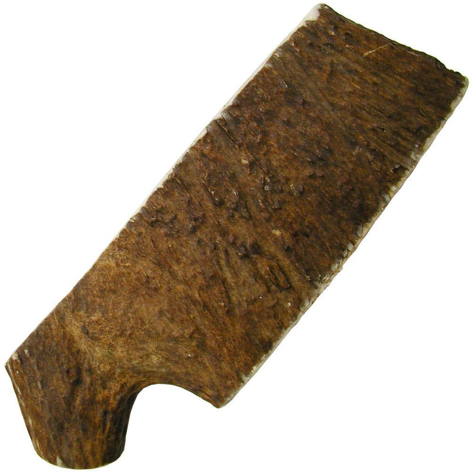 Happy Dog of Cape Cod Moose Antlers