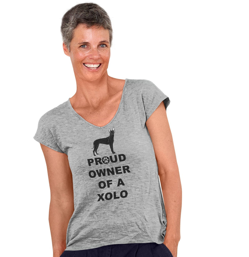 Xoloitzcuintli Proud Owner - Women's V-Neck T-Shirt