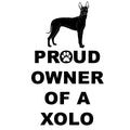 Xoloitzcuintli Proud Owner - Women's V-Neck T-Shirt