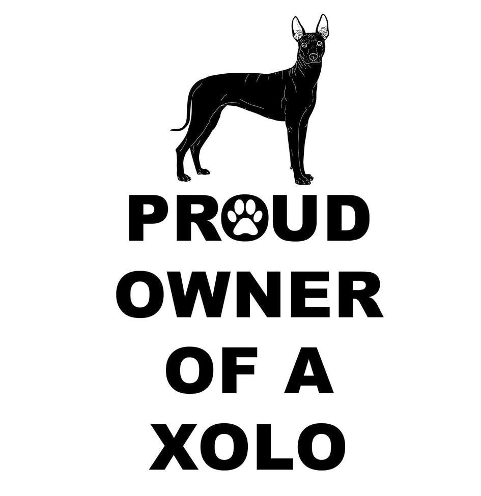 Xoloitzcuintli Proud Owner - Women's V-Neck T-Shirt