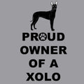 Xoloitzcuintli Proud Owner - Adult Unisex Crewneck Sweatshirt